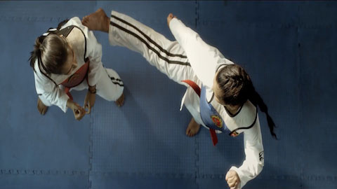 Taekwondo